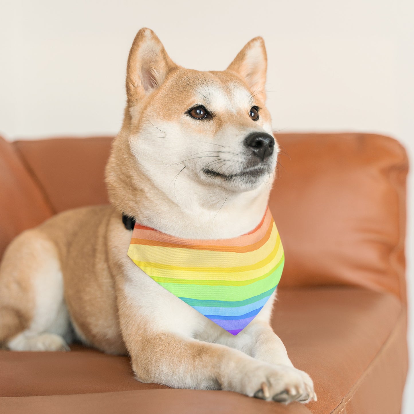 Rainbow Right Bright Collar Bandana