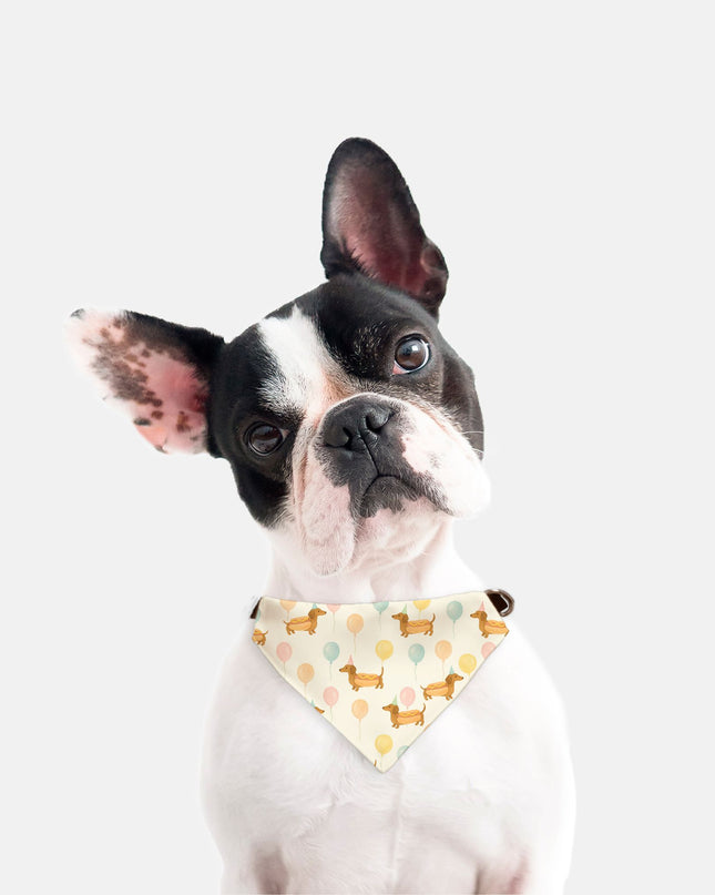 On Collar Dog Bandana  - Hot Dog Party Parade