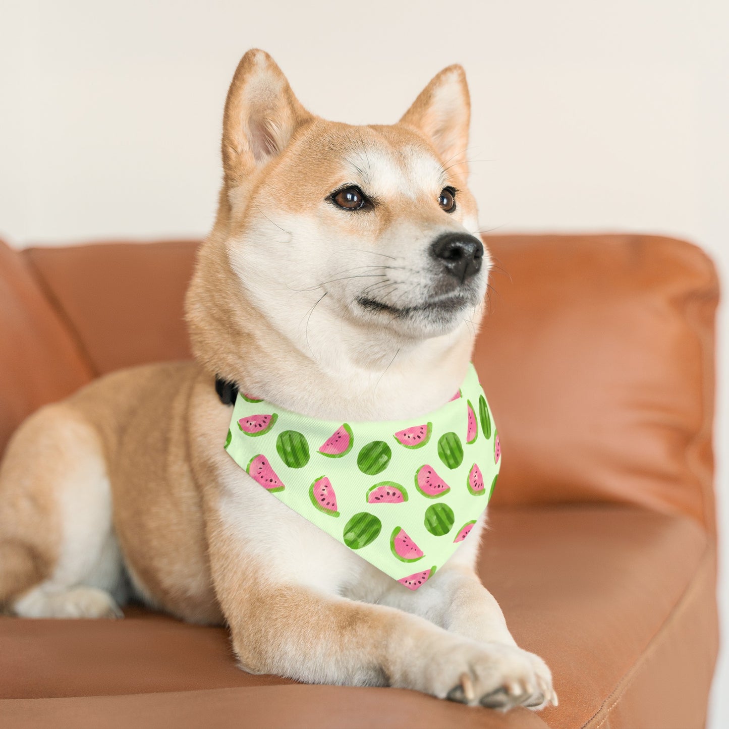 Watermelon Collar Bandana