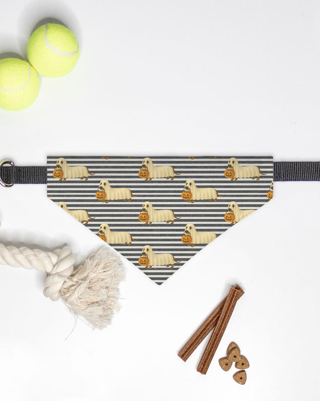 On Collar Pet Bandana  - Boo Crew: Wiener Dog Edition