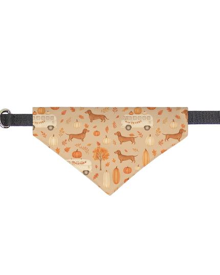 Dog bandana with dachshund and pumpkin pattern on a white background