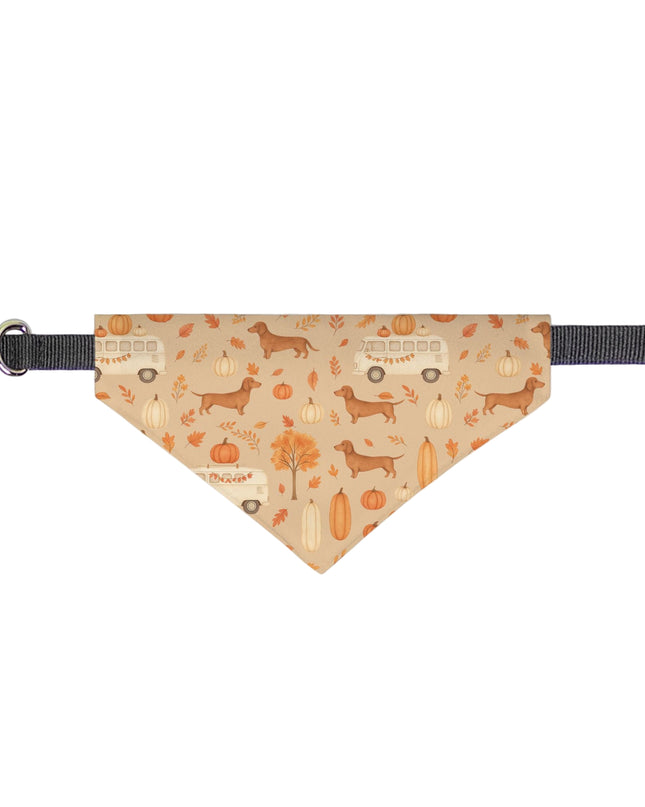 Dog bandana with dachshund and pumpkin pattern on a white background