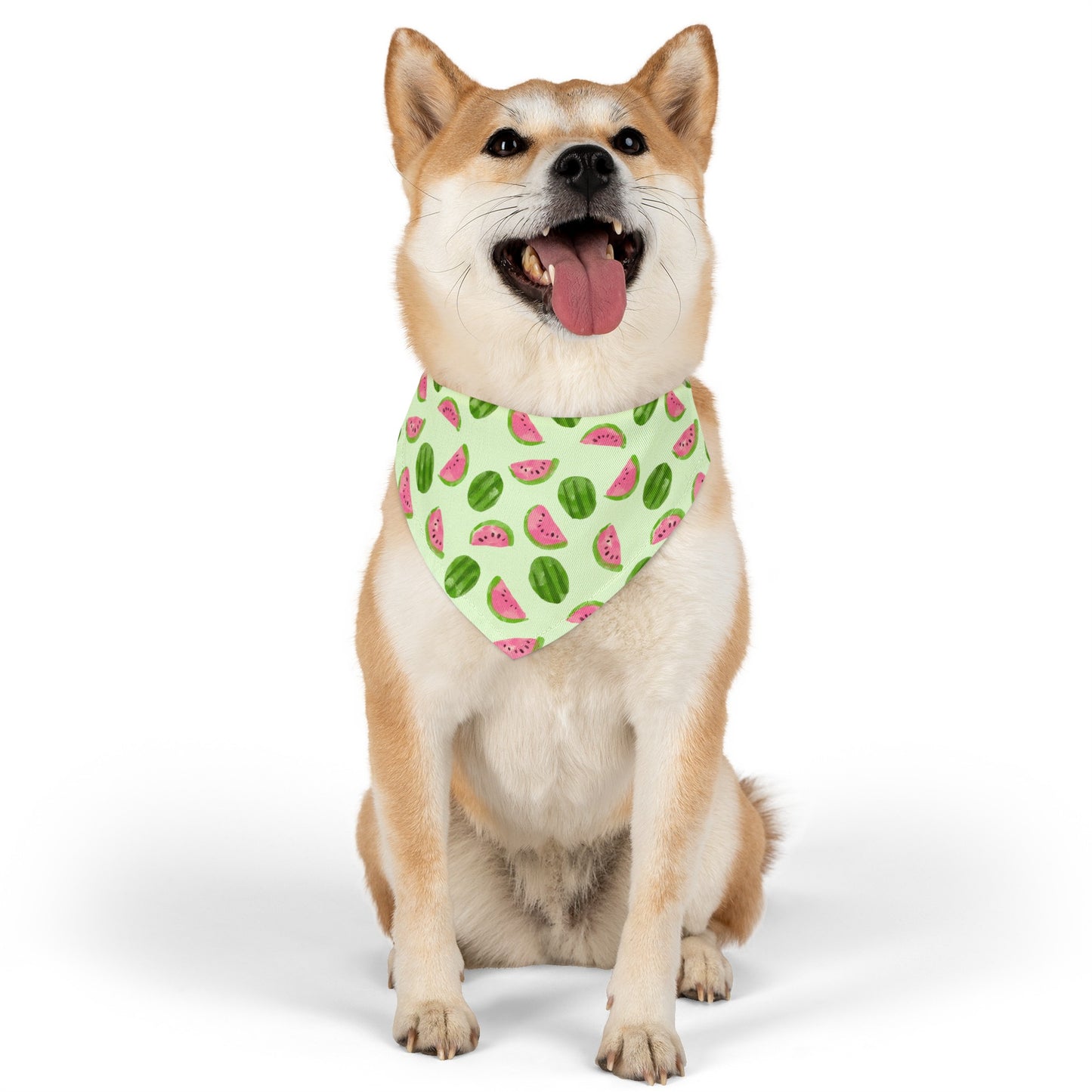 Watermelon Collar Bandana