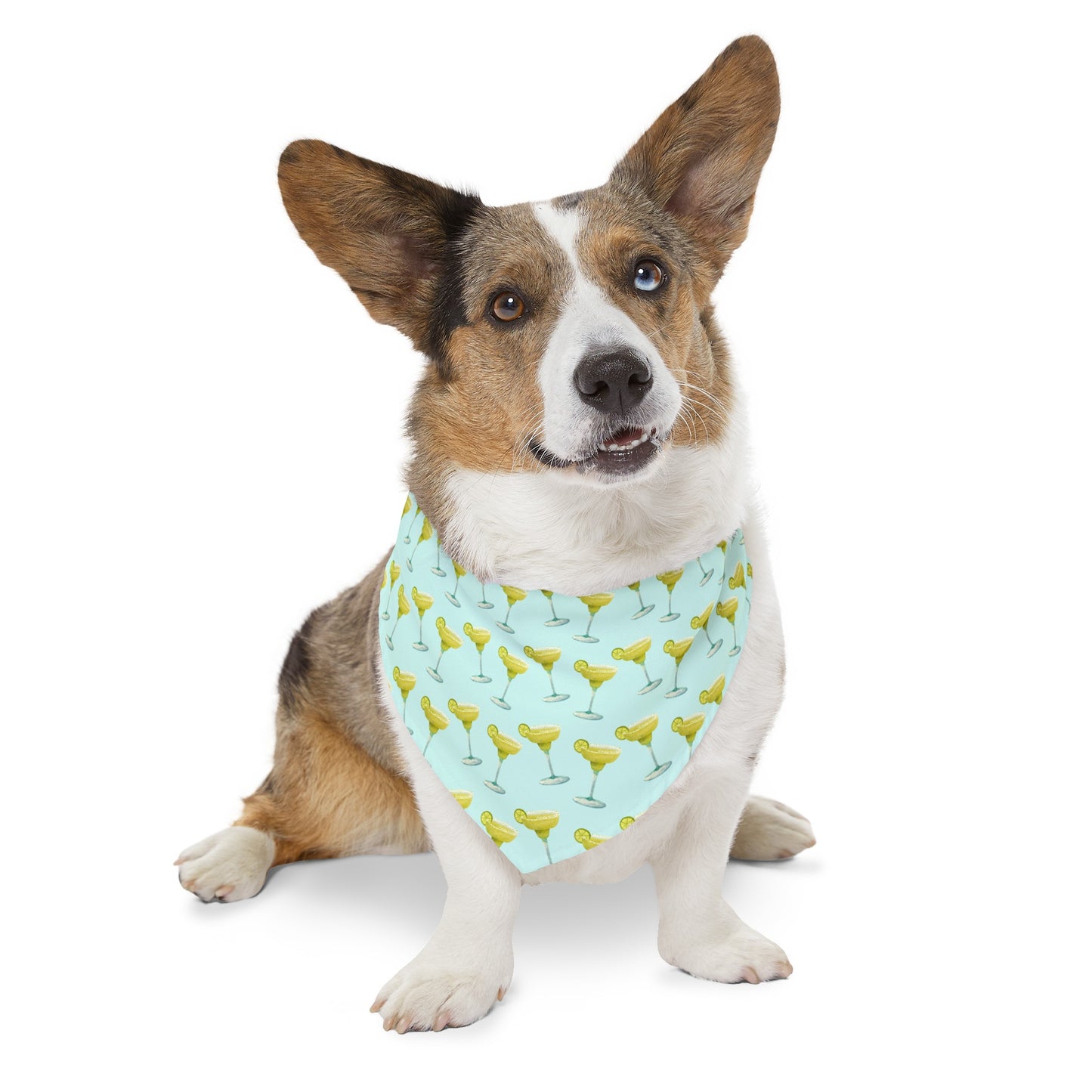 Margaritas Collar Bandana