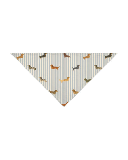 Dachshund dog bandana with blue and cream stripes with long and short haired doxies 