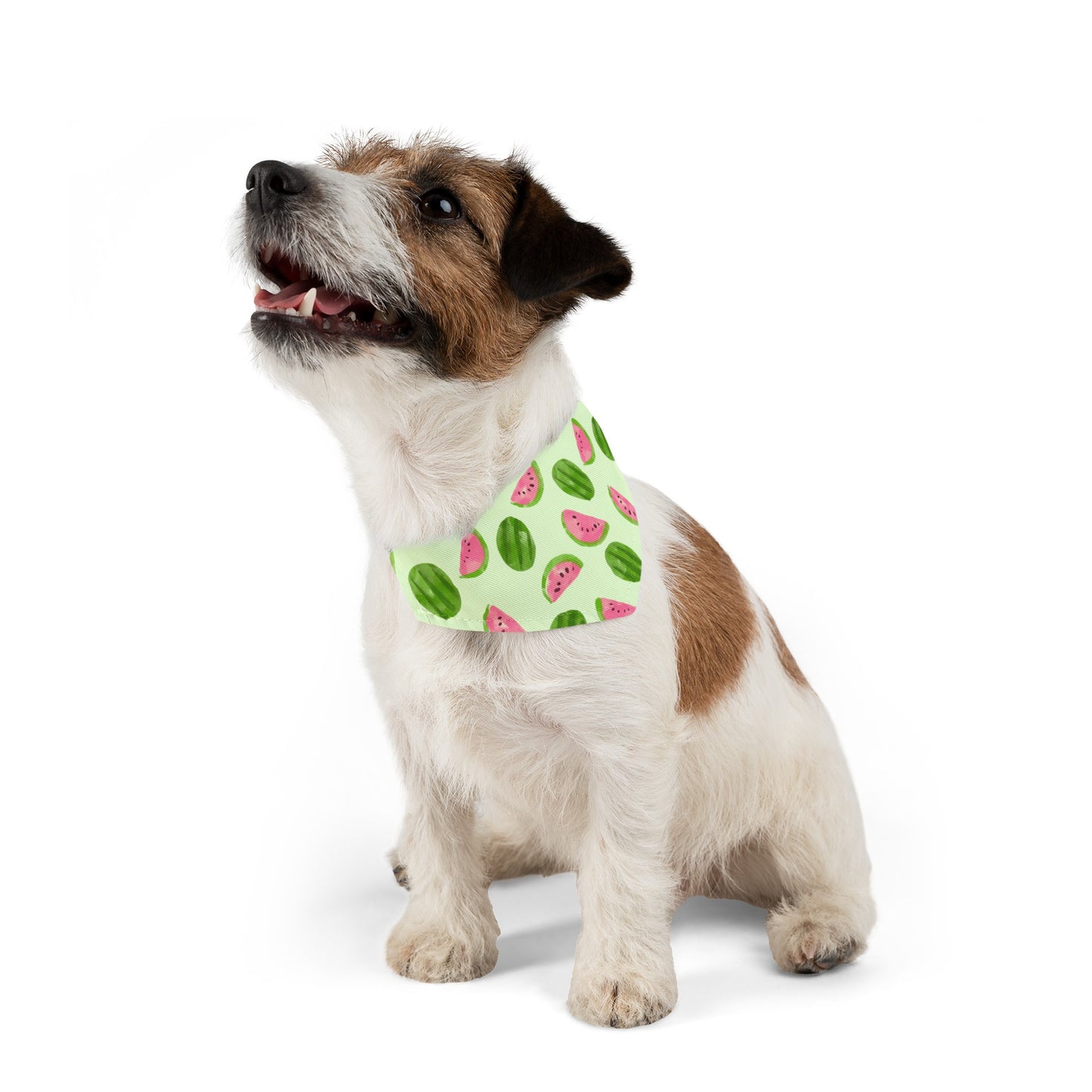 Watermelon Collar Bandana