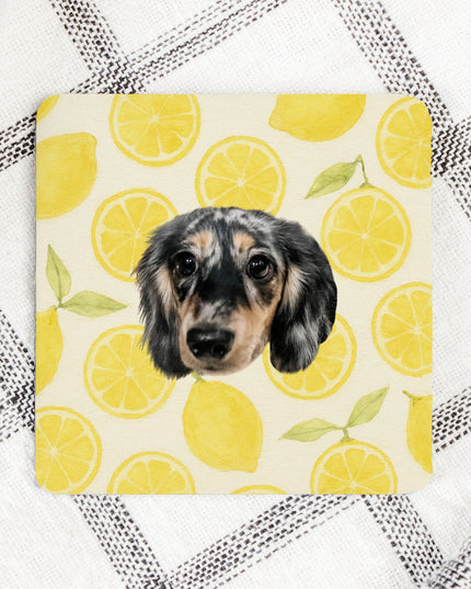 Coaster Neoprene Back 4PK - Main Squeeze Lemon