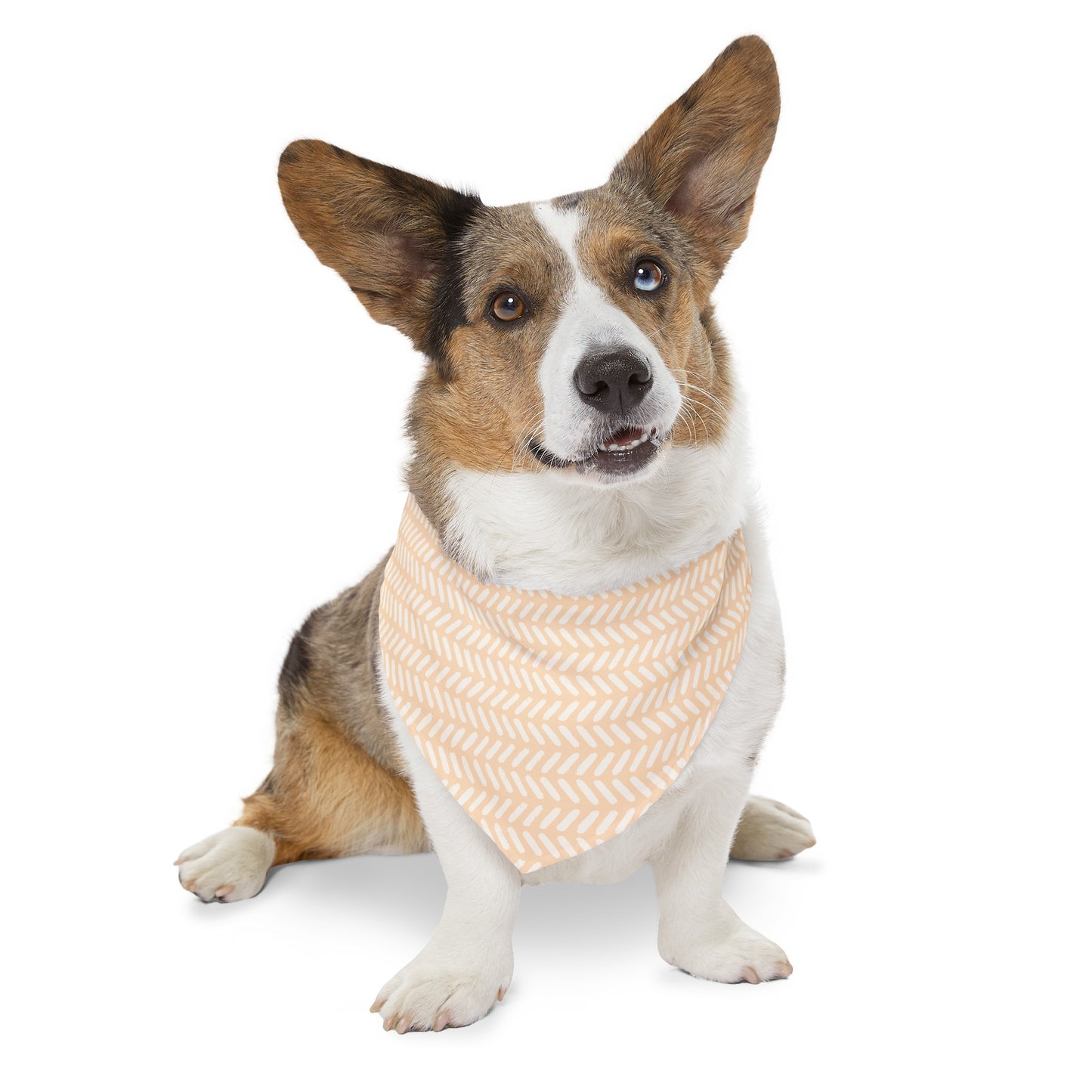 Peachy Strokes Collar Bandana