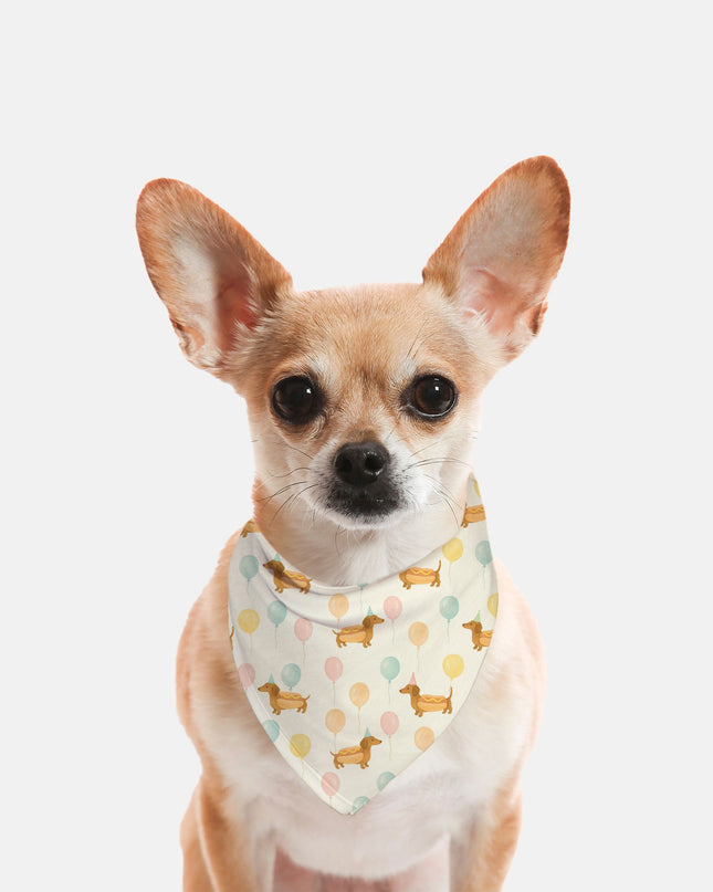 Hot Dog Party Parade - Dachshund Dog Bandana
