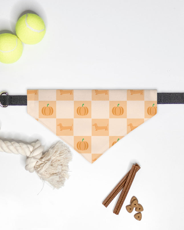 On Collar Pet Bandana  - Pumpkin Patched Dachshunds
