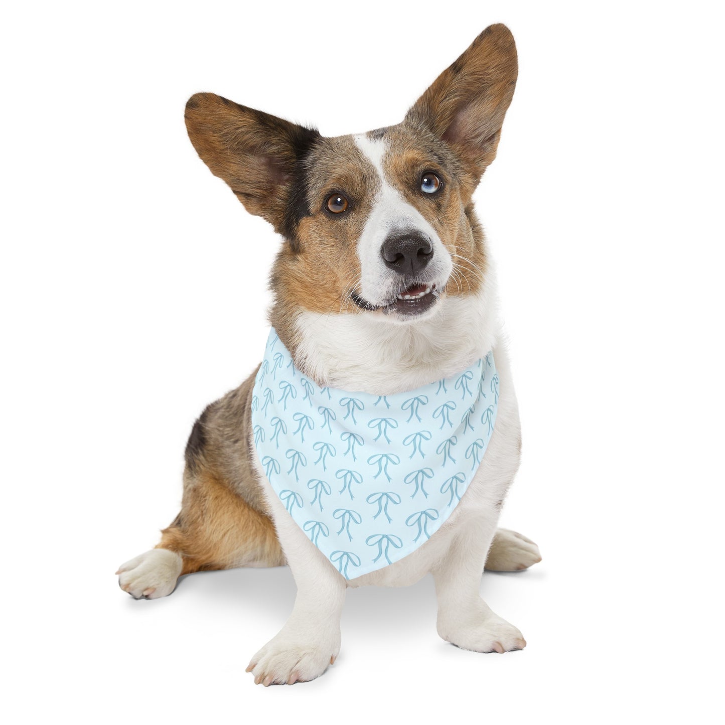 Little Bow Blue Dog Collar Bandana