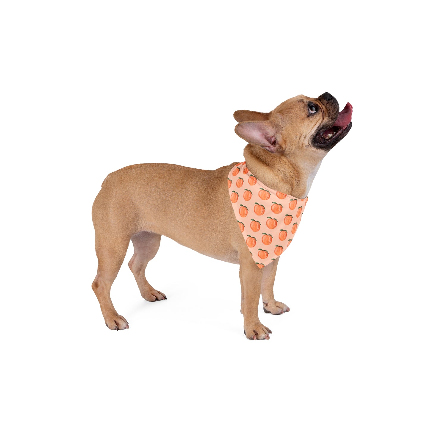 Peaches Dog Bandana