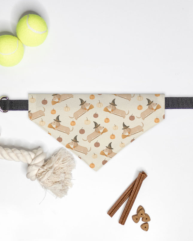 On Collar Pet Bandana  - Weenie Witches