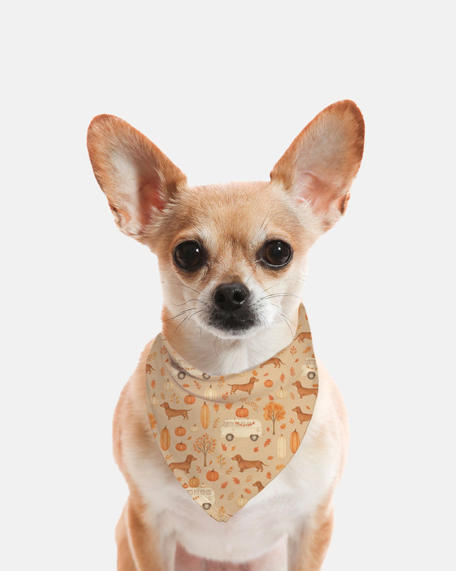 Tie On Dog Bandana- Dachshund Harvest Road Trip: Fall Festival Print