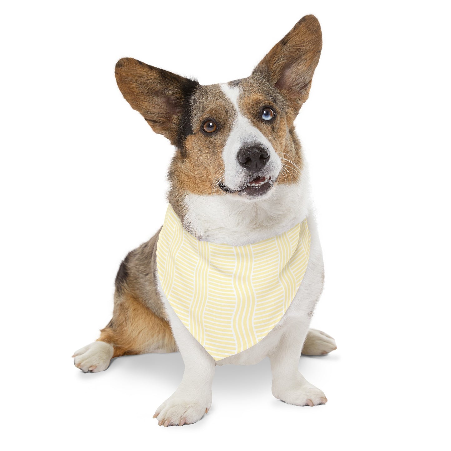 Lemon Lines Collar Bandana