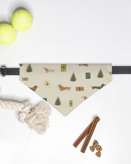 On Collar Dog Bandana  - Dachsund Paw-sents