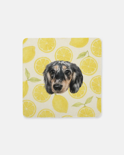 Coaster Neoprene Back 4PK - Main Squeeze Lemon