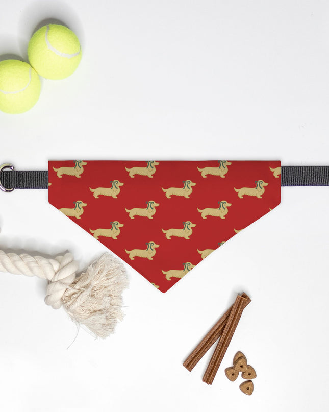 On Collar Dog Bandana  - Dach of Long-Haired Dachshund Holiday Edition