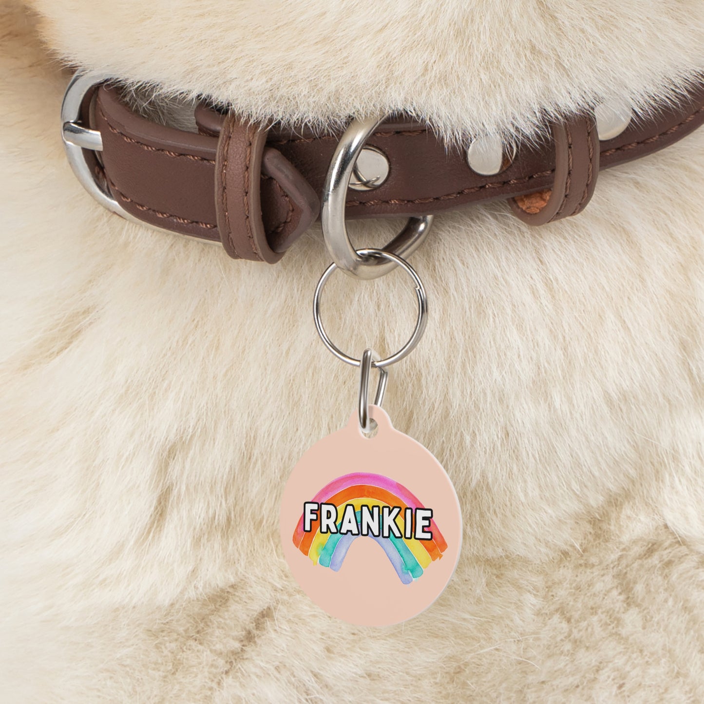 Radiant Rainbow Custom Round Metal Pet Tag