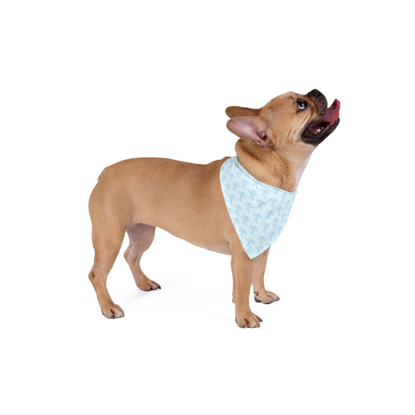 Little Bow Blue Dog Bandana