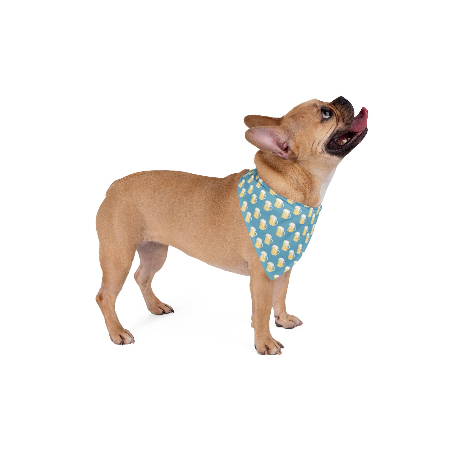 Beer Me Buddy Dog Bandana