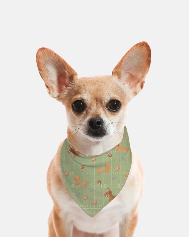 Tie On Dog Bandana – Touchdown Dachshunds