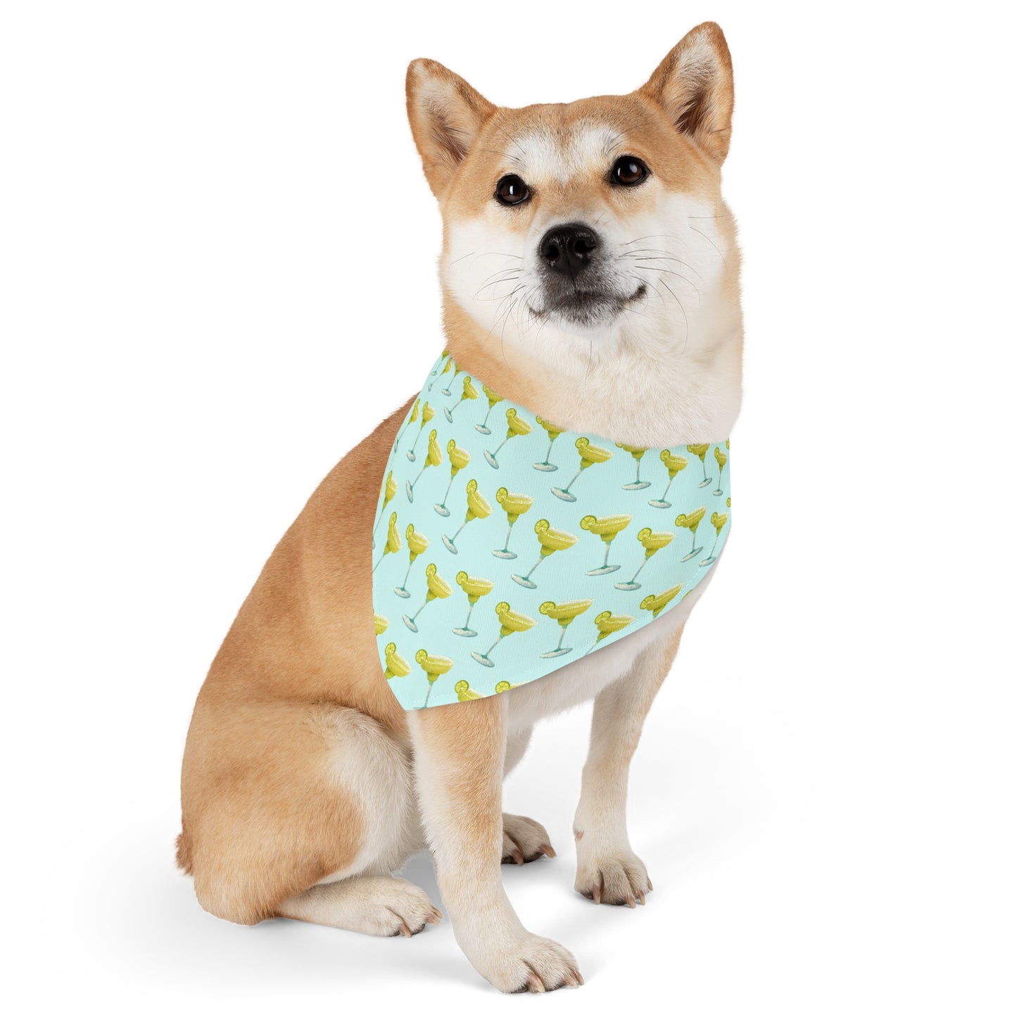 Margaritas Collar Bandana