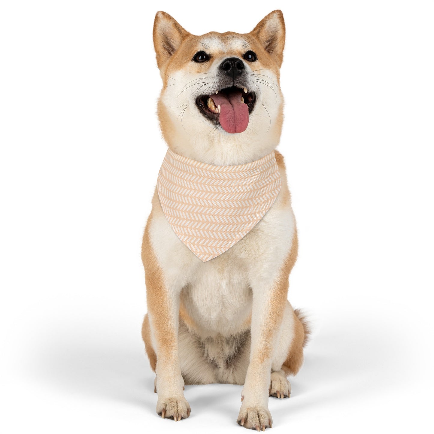 Peachy Strokes Collar Bandana