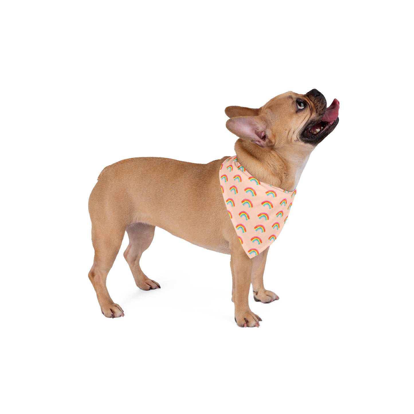 Radiant Rainbow Dog Bandana