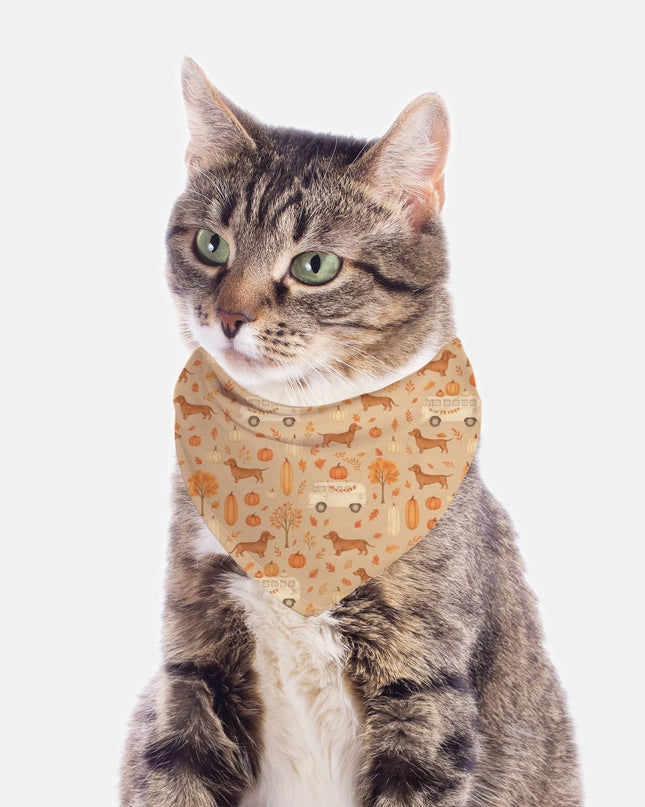 Tie On Dog Bandana- Dachshund Harvest Road Trip: Fall Festival Print