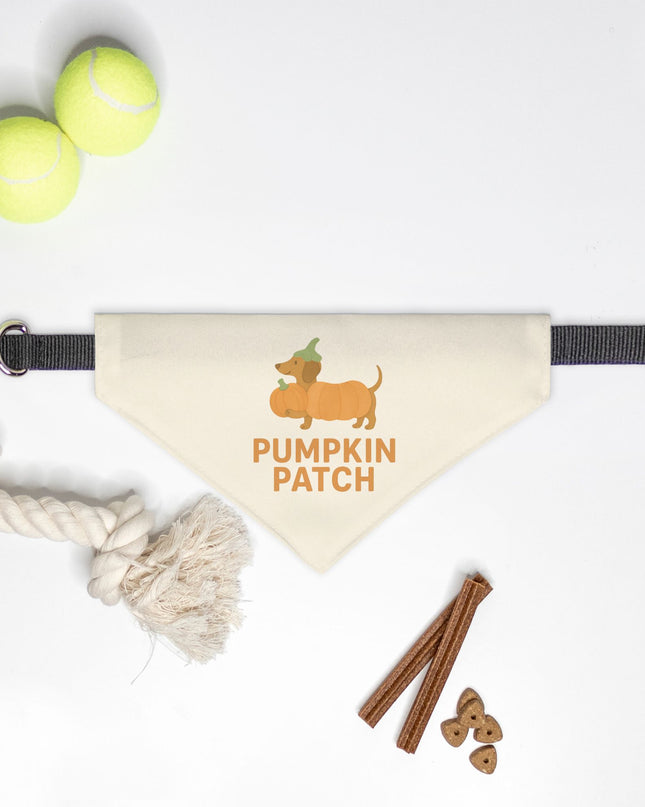 On Collar Dog Bandana  - Pumpkin Patch Dachshund
