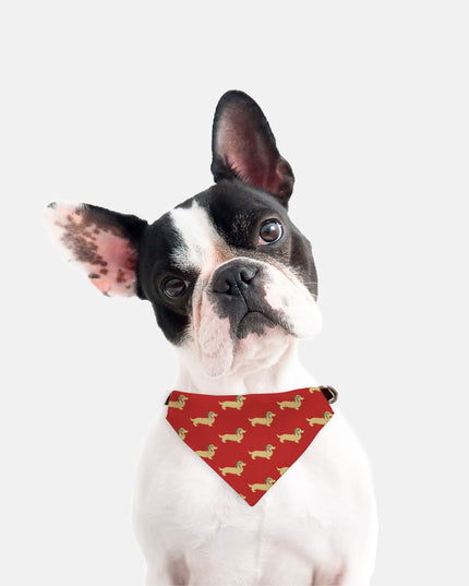 On Collar Dog Bandana  - Dach of Long-Haired Dachshund Holiday Edition