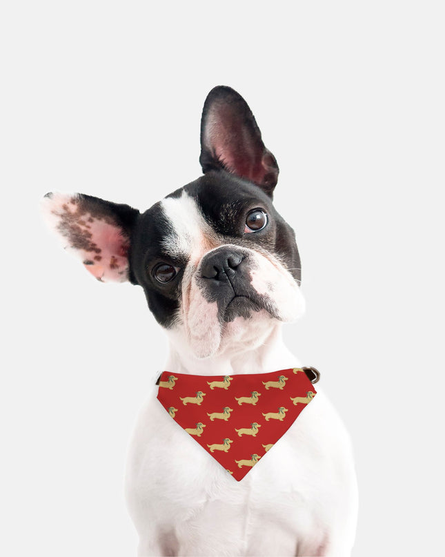 On Collar Dog Bandana  - Dach of Long-Haired Dachshund Holiday Edition