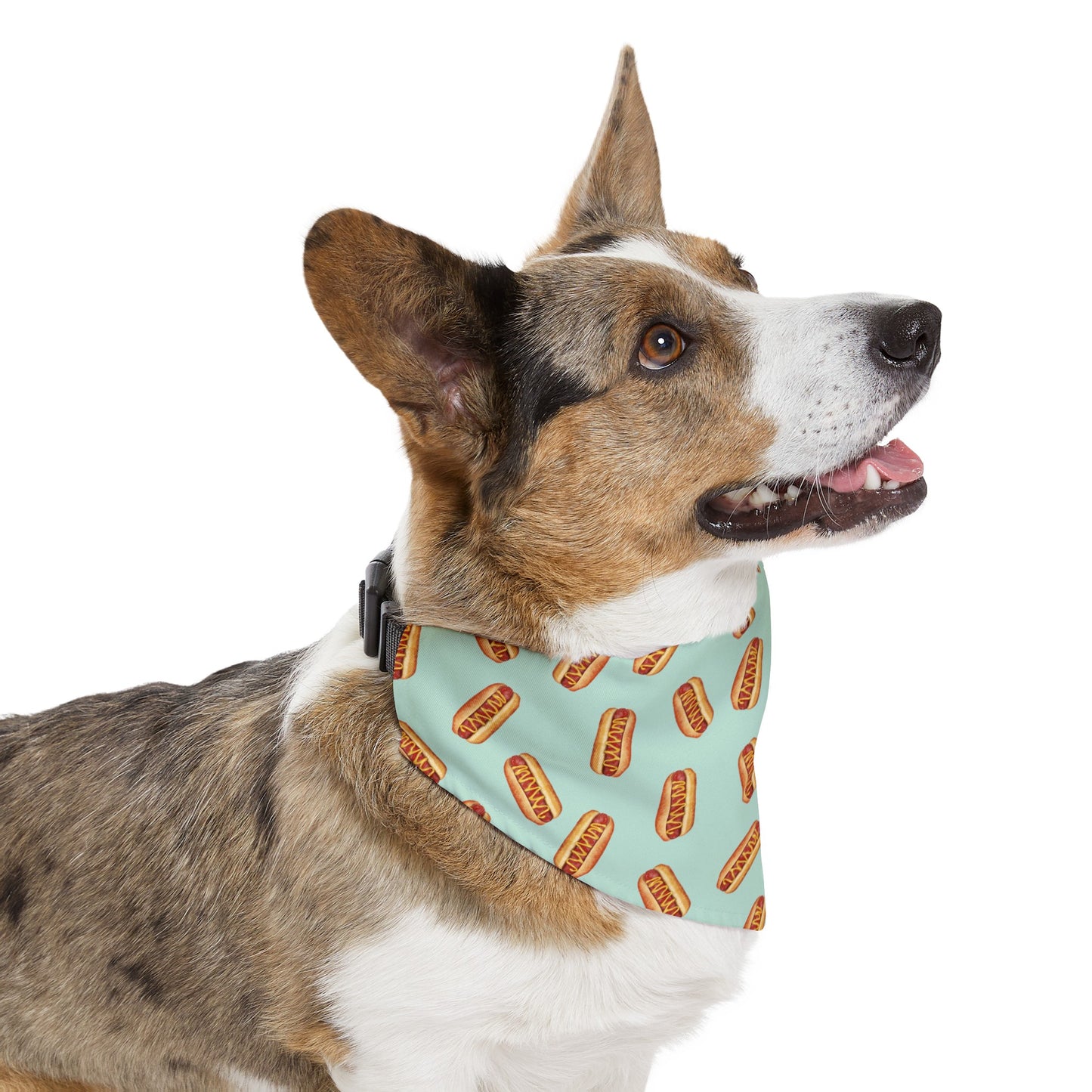 Hot Doggie Dog Collar Bandana