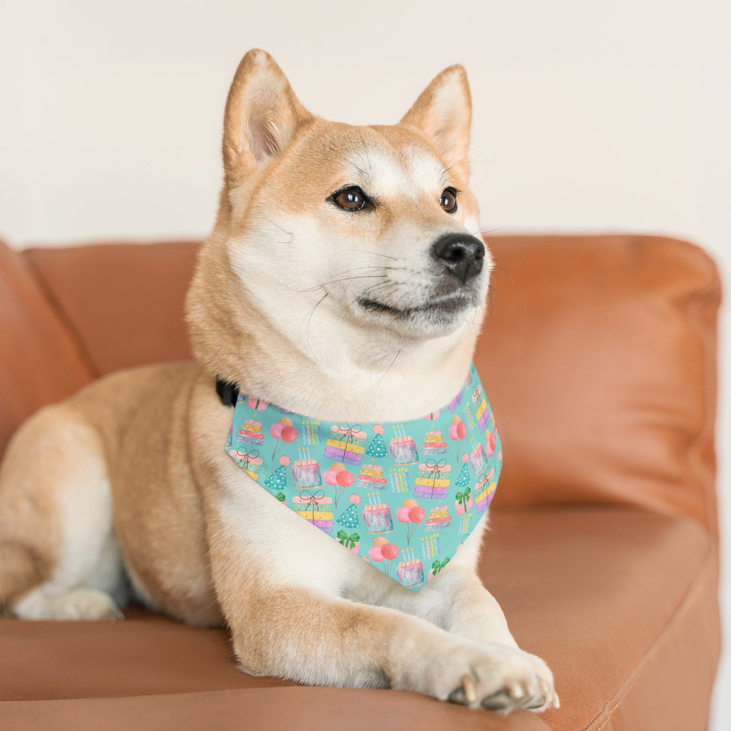 Teal Birthday Collar Bandana