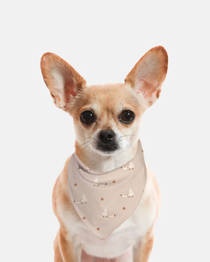 Ghost Walking A Dachshund Small Breed Pet Bandana
