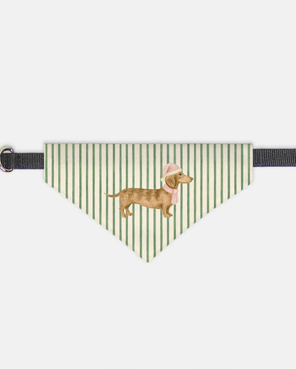 On Collar Pet Bandana  - Green Striped Pink Dachshund Santa