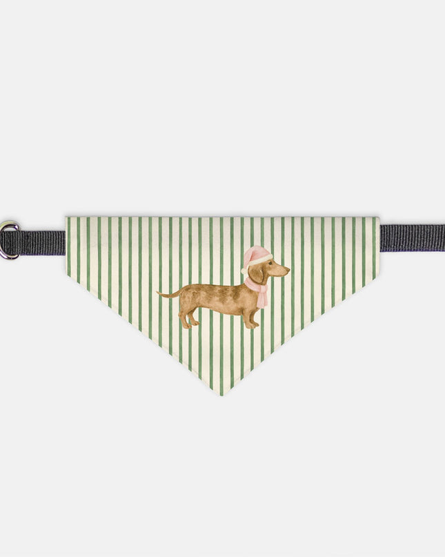 On Collar Pet Bandana  - Green Striped Pink Dachshund Santa