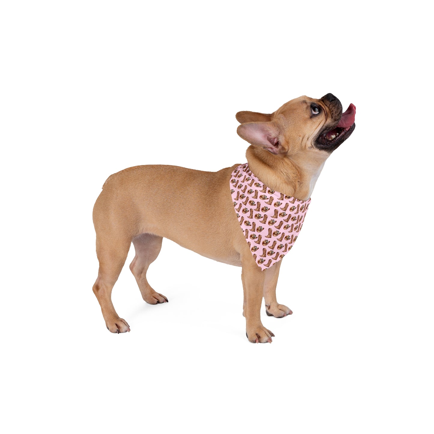 Western Woof Dog Bandana