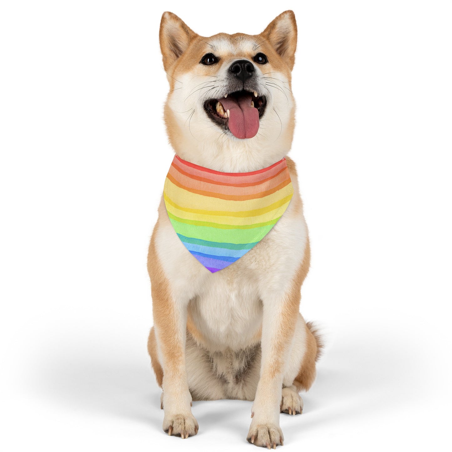 Rainbow Right Bright Collar Bandana