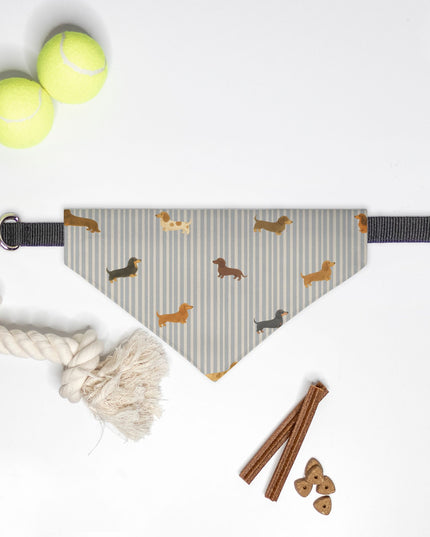 On Collar Dog Bandana  -  Long-Haired & Short-Haired Dachshund Mix Print