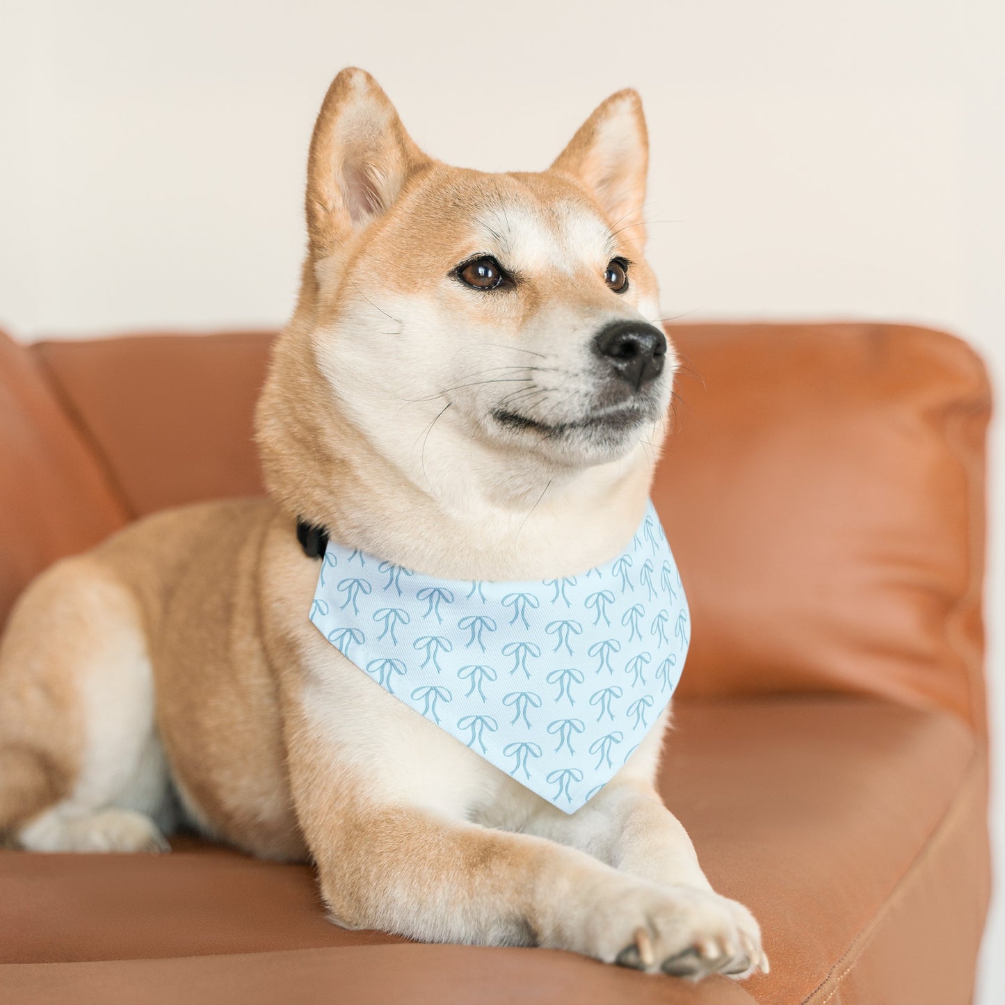 Little Bow Blue Dog Collar Bandana