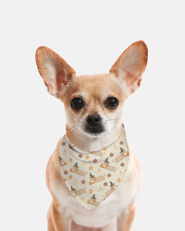 Tie On Dog Bandana - Weenie Witches
