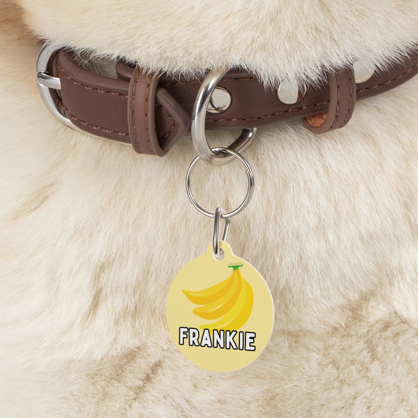 Go Bananas Custom Round Metal Pet Tag