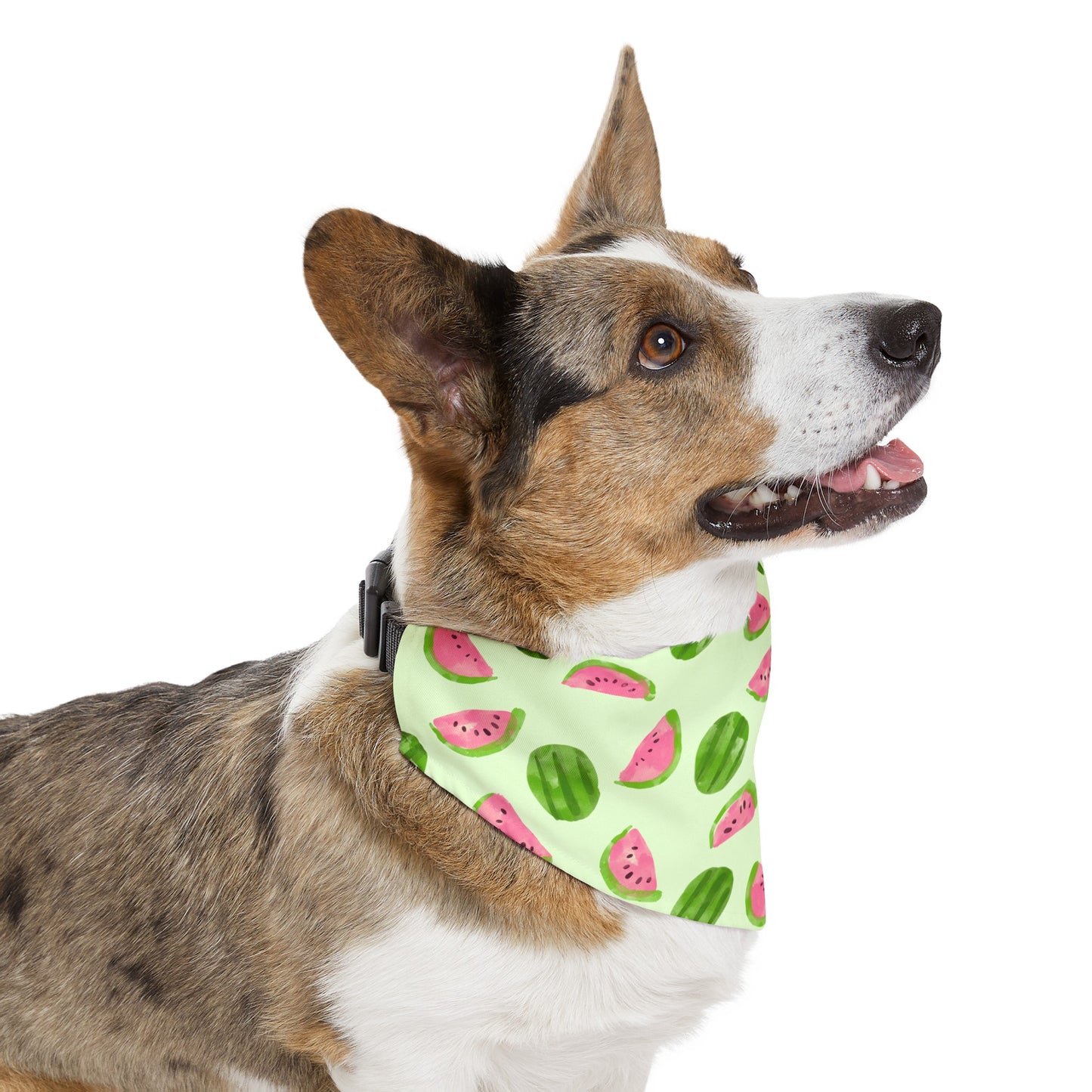 Watermelon Collar Bandana