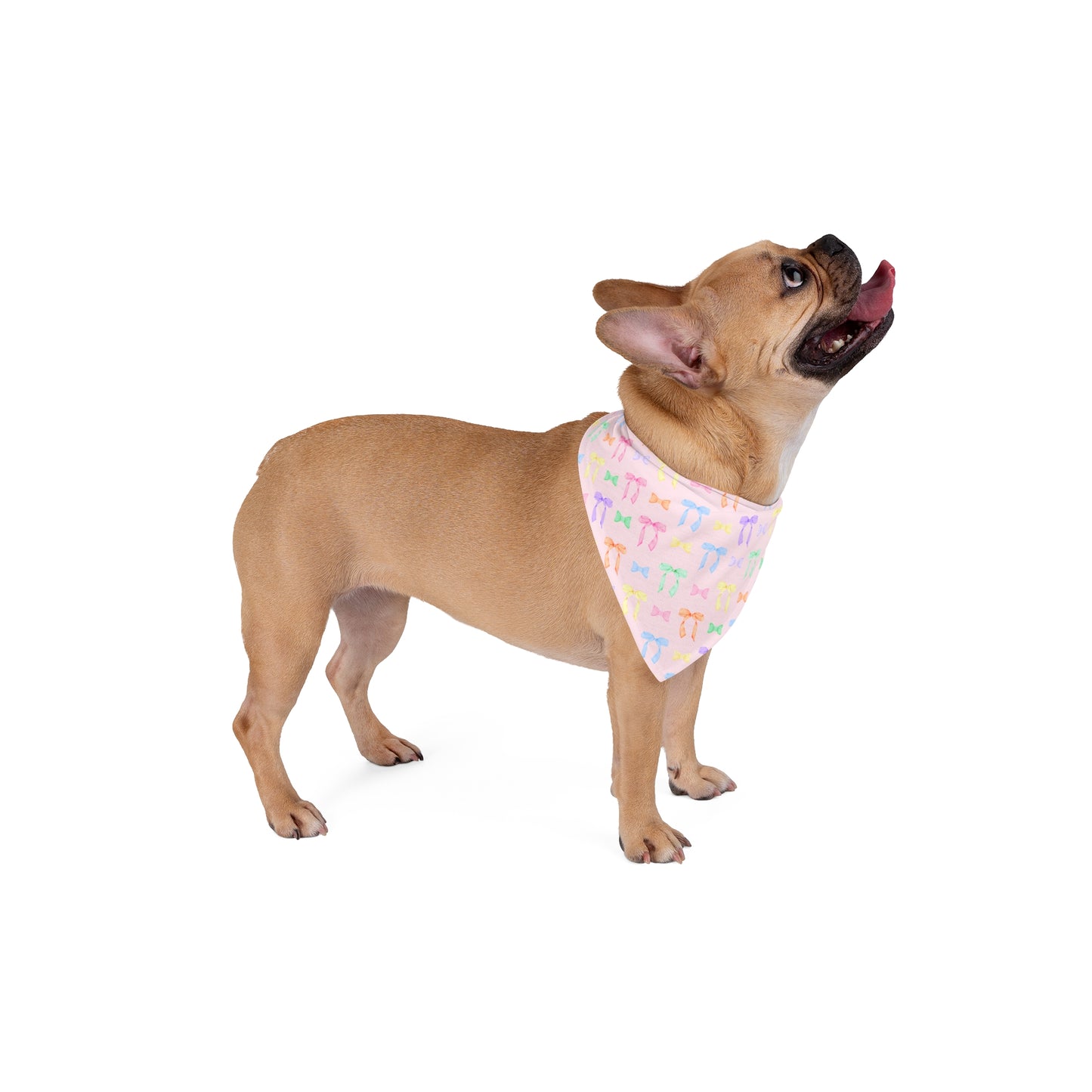 Pastel Bow Party in Light Pink Dog Bandana