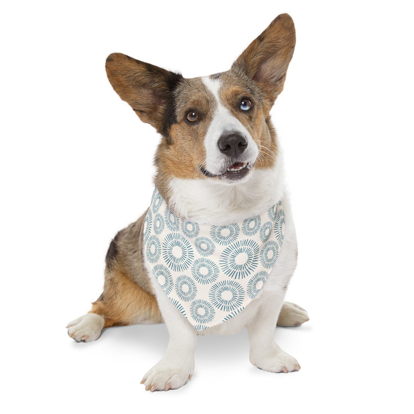 Indigo Burst Collar Bandana