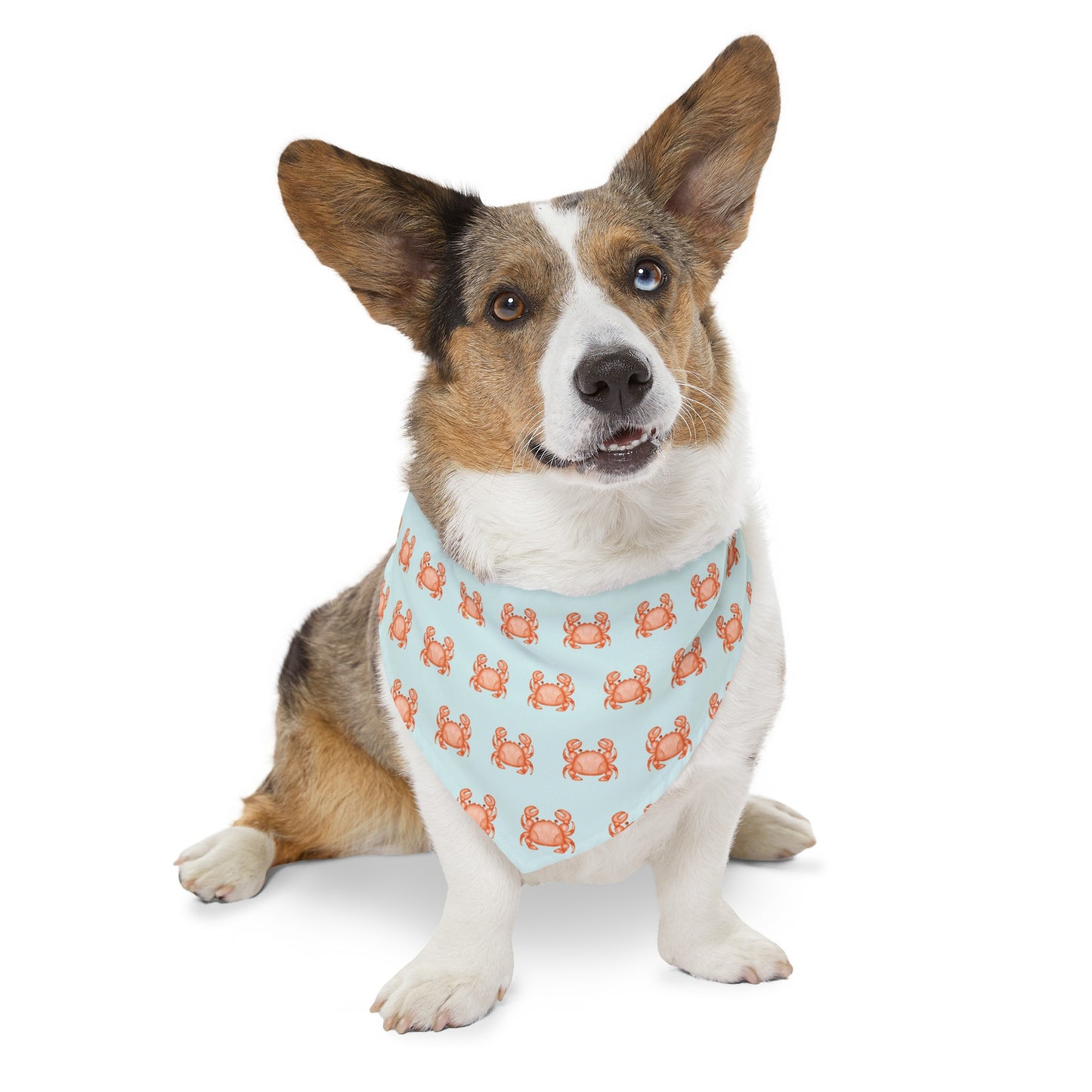 Coastal Crabbie Collar Bandana