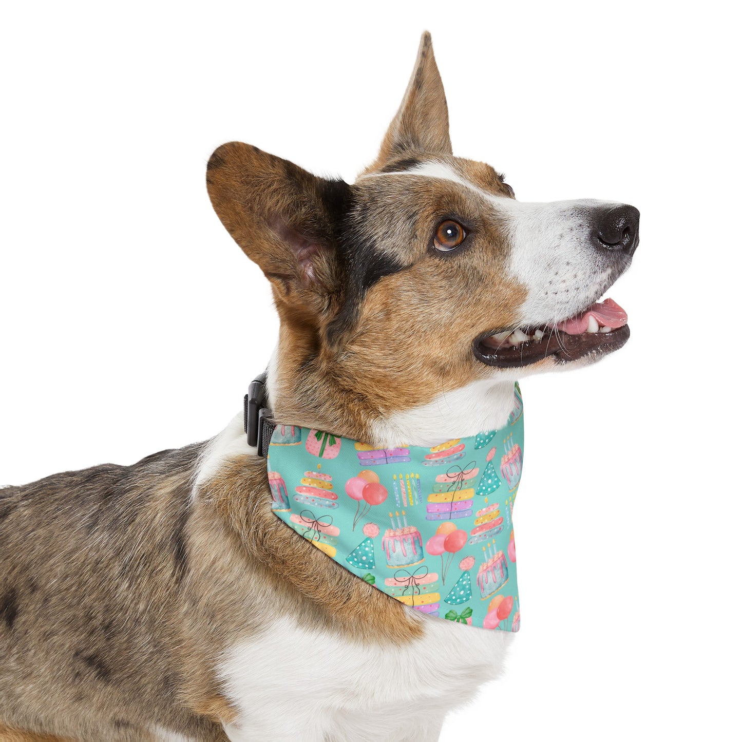 Teal Birthday Collar Bandana