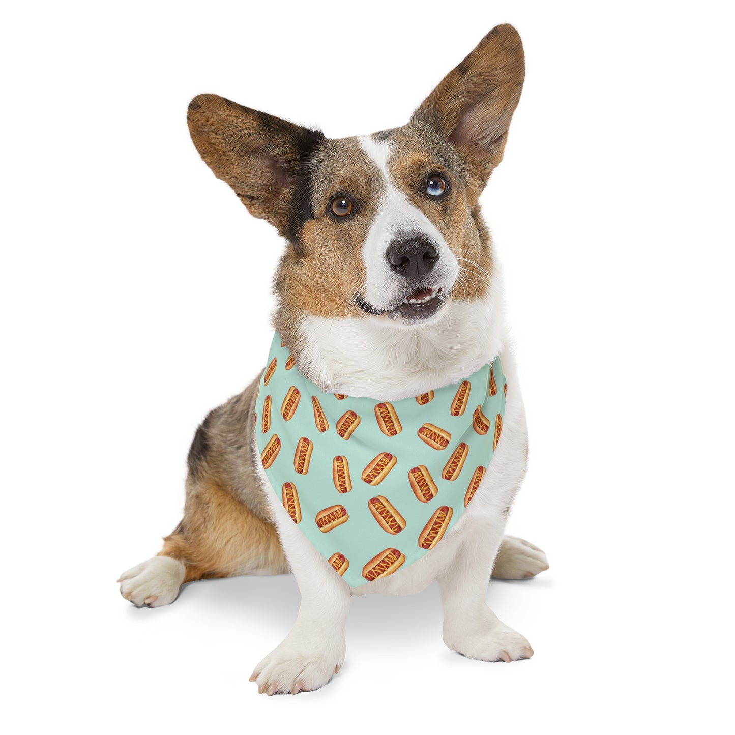 Hot Doggie Dog Collar Bandana